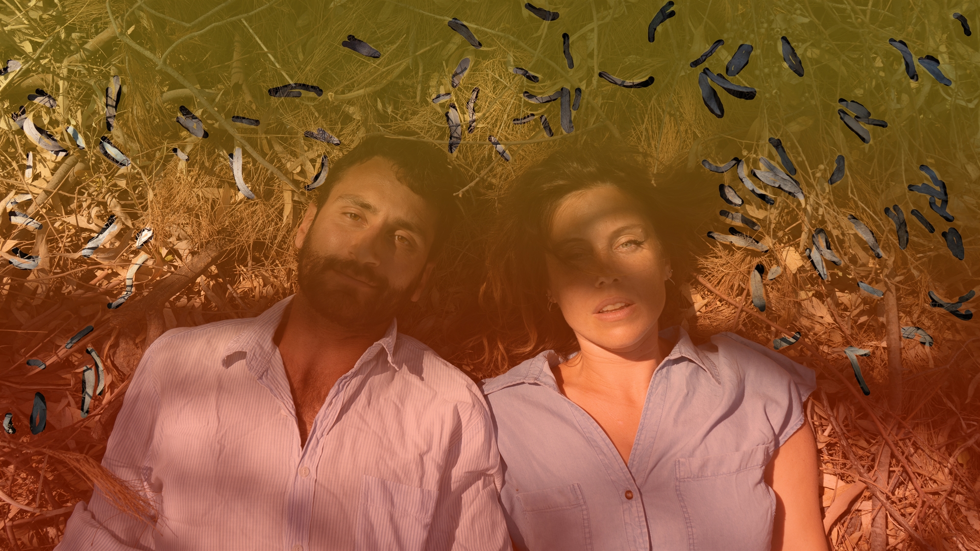 γέφυρα-με-την-ιαπωνική-μελωδία-561904801