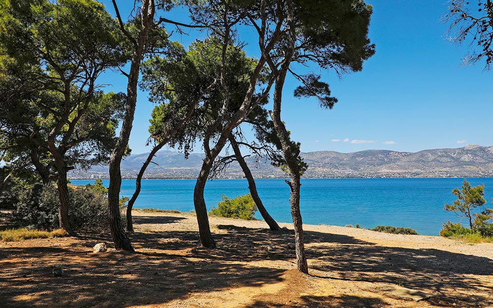 Σαλαμίνα: Κολπίσκοι με καταγάλανα νερά και πεζοπορίες σε πευκοδάση, μισή ώρα από τον Πειραιά-5