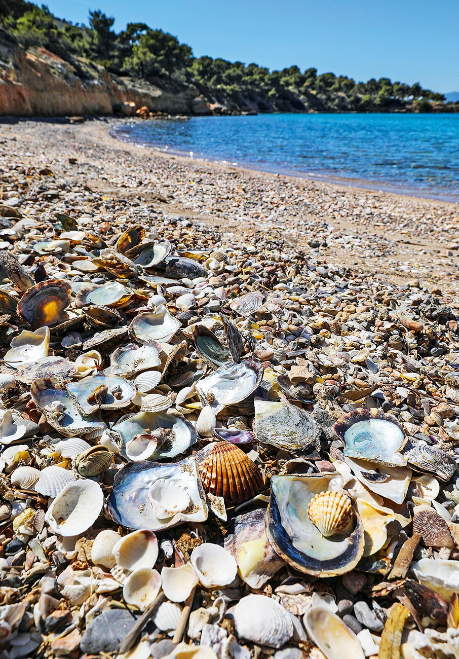 Σαλαμίνα: Κολπίσκοι με καταγάλανα νερά και πεζοπορίες σε πευκοδάση, μισή ώρα από τον Πειραιά-4