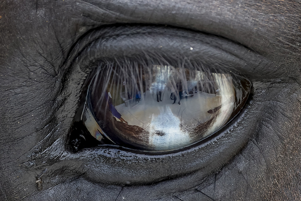 Καλοκαιρινό έγκλημα