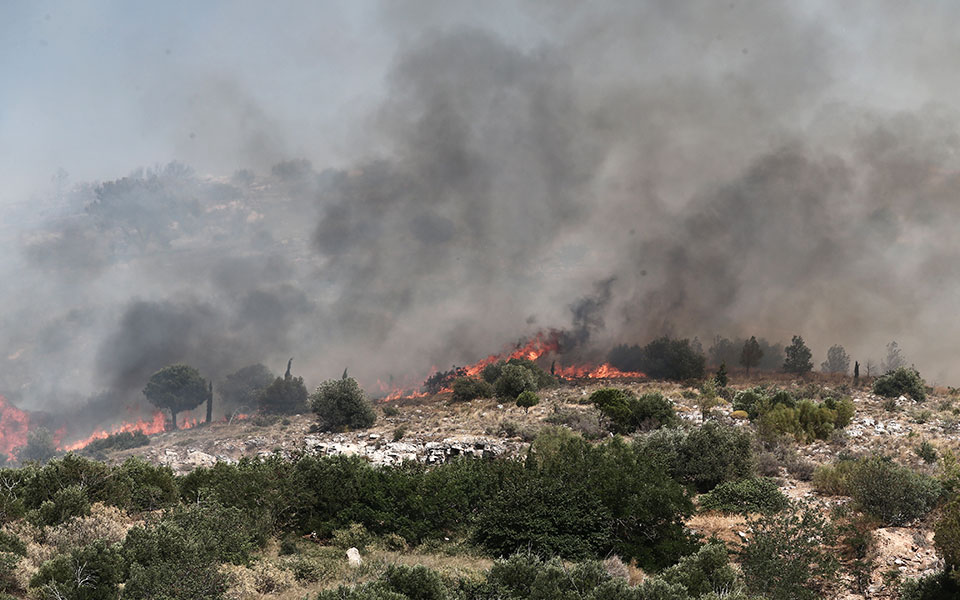 νέες-τεχνολογίες-για-τις-καμένες-εκτά-561898126