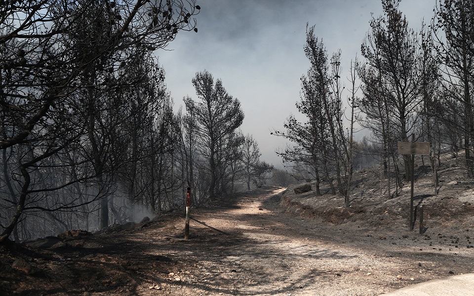 φωτιά-στη-βούλα-στάχτη-έγιναν-4-322-στρέμμ-561898426