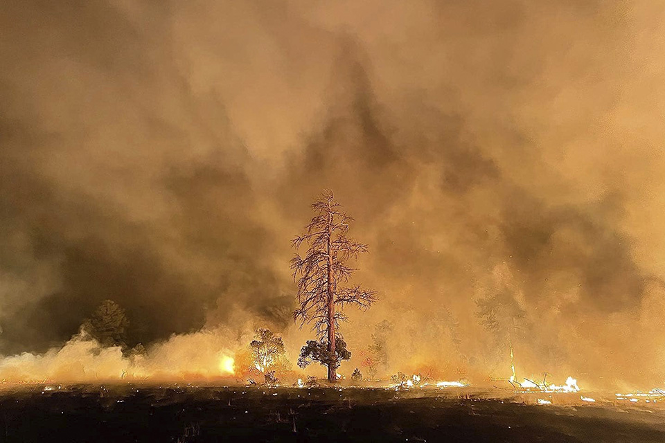 Πυρκαγιές στην Αριζόνα