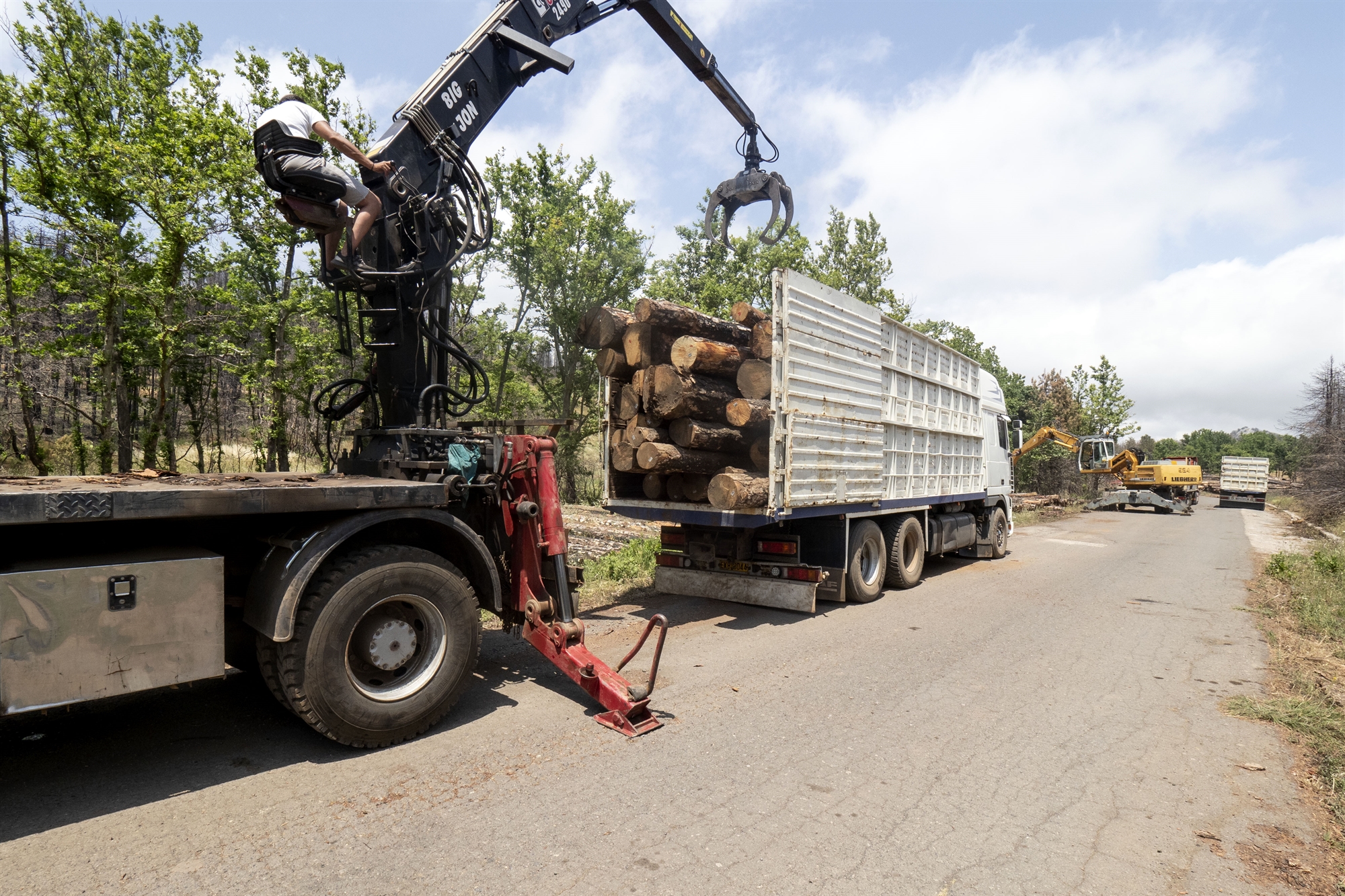 Εύβοια: «Μείναμε για να ξαναφτιάξουμε όσα χάσαμε» – Αγώνας επιβίωσης ανάμεσα στα καμένα-2