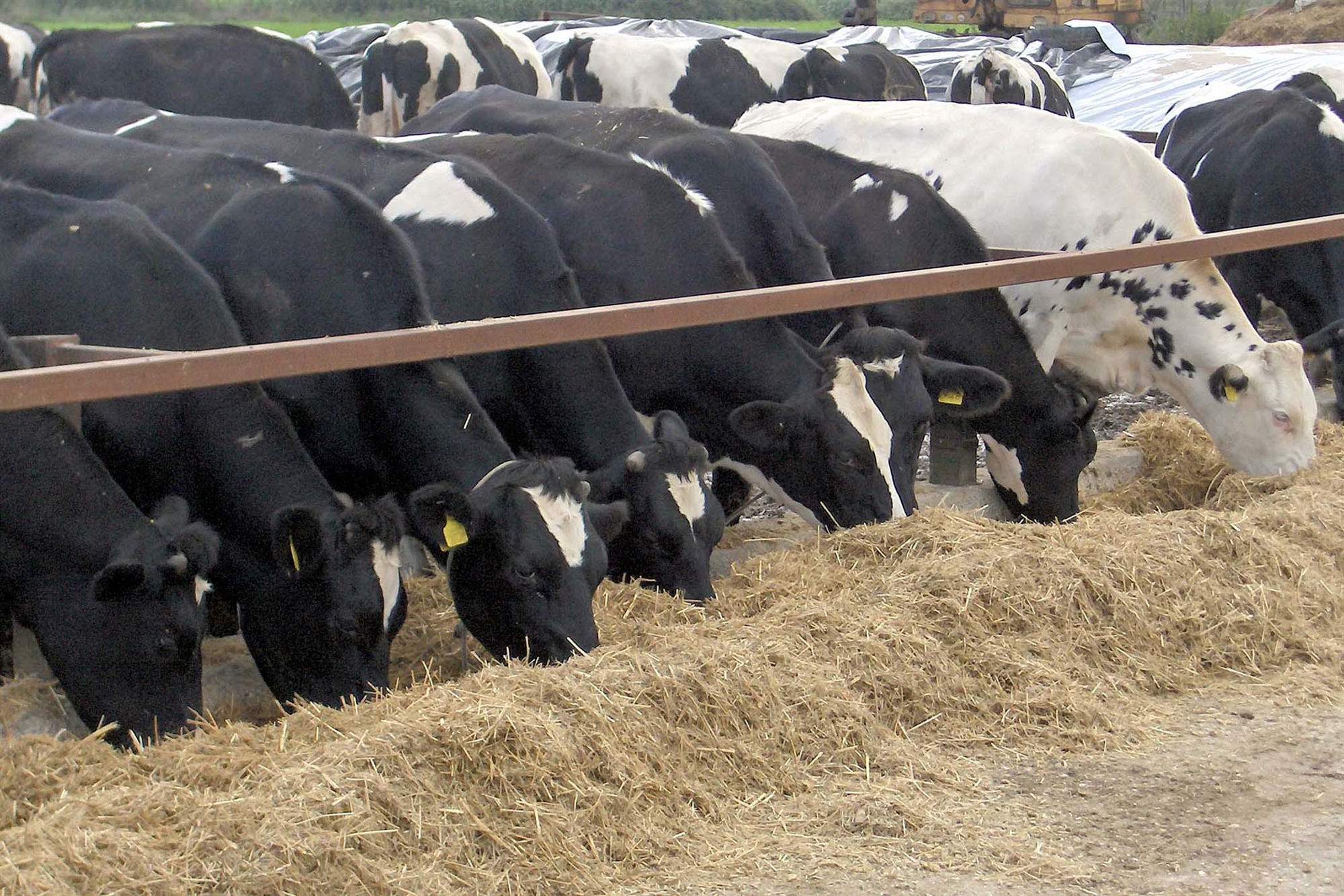 προβλήματα-στον-κλάδο-τροφίμων-561901876