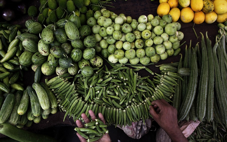 κοντά-σε-ιστορικό-υψηλό-οι-τιμές-τροφί-561892411
