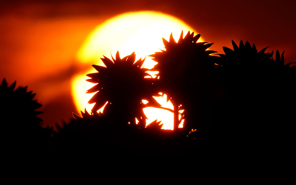 θερινό-ηλιοστάσιο-η-μεγαλύτερη-ημέρα-561919447