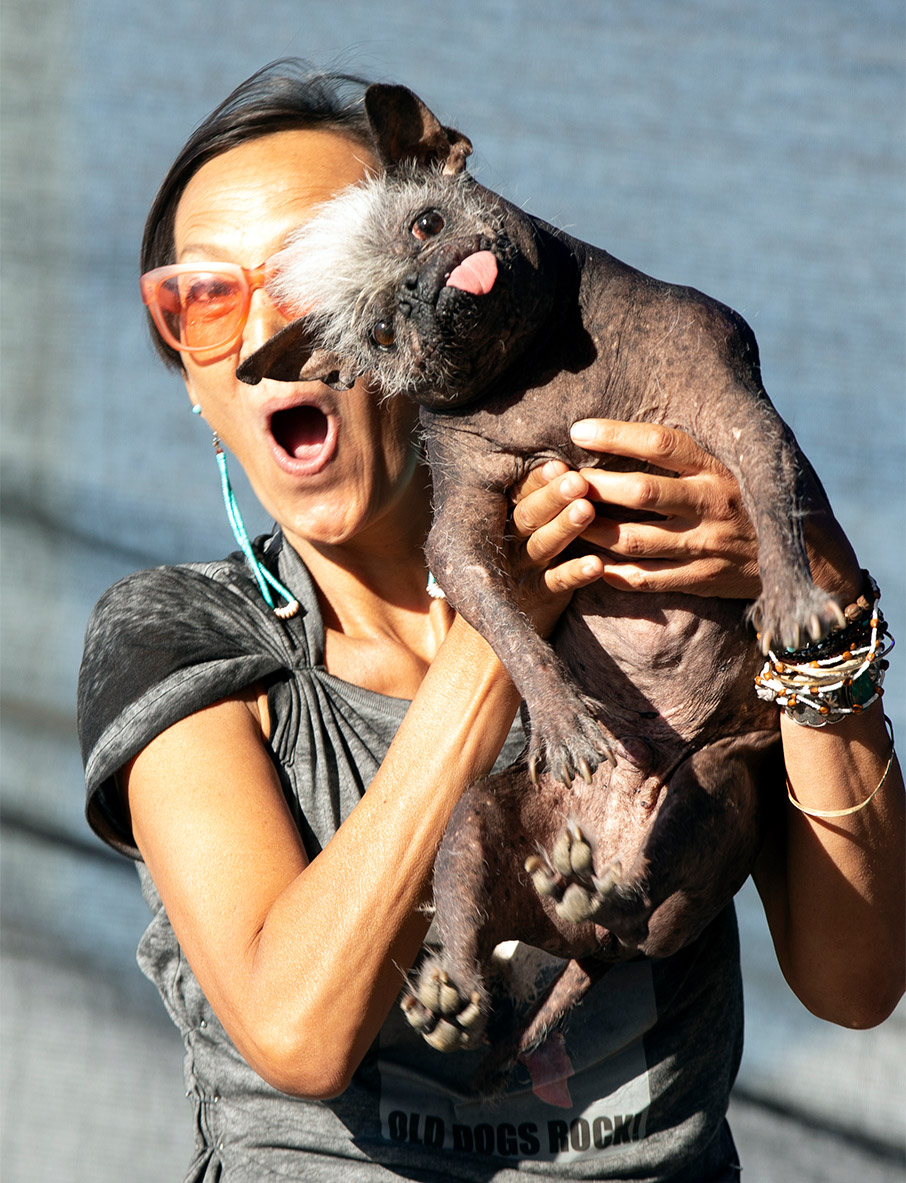 ΗΠΑ: Ο «πιο άσχημος σκύλος του κόσμου» για το 2022-1