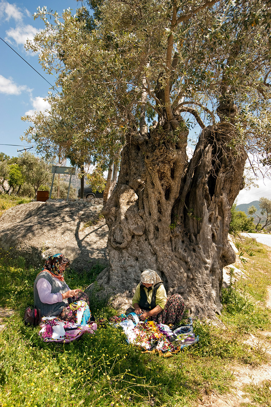 Μικρασιατικά παράλια: ταξίδι στη μνήμη-1
