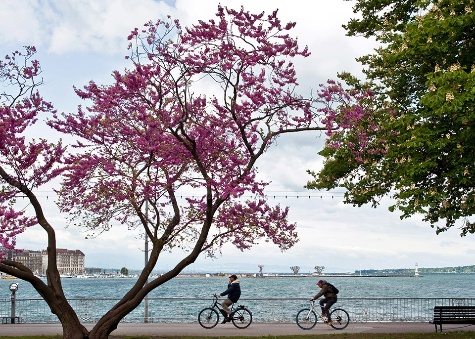 Επτά απίθανες ποδηλατουπόλεις και οι βόλτες που μπορείτε να κάνετε σε αυτές-5