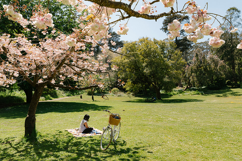 Επτά απίθανες ποδηλατουπόλεις και οι βόλτες που μπορείτε να κάνετε σε αυτές-6