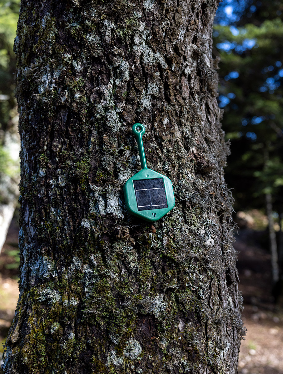 Η Vodafone παρουσιάζει το πρώτο «έξυπνο» δάσος στην Ελλάδα-3