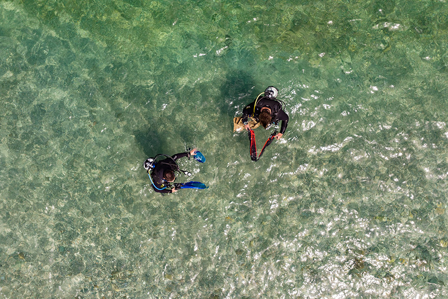 Lidl Ελλάς: Συνεχίζεται και φέτος η καμπάνια “Plastic Free Greece”-3