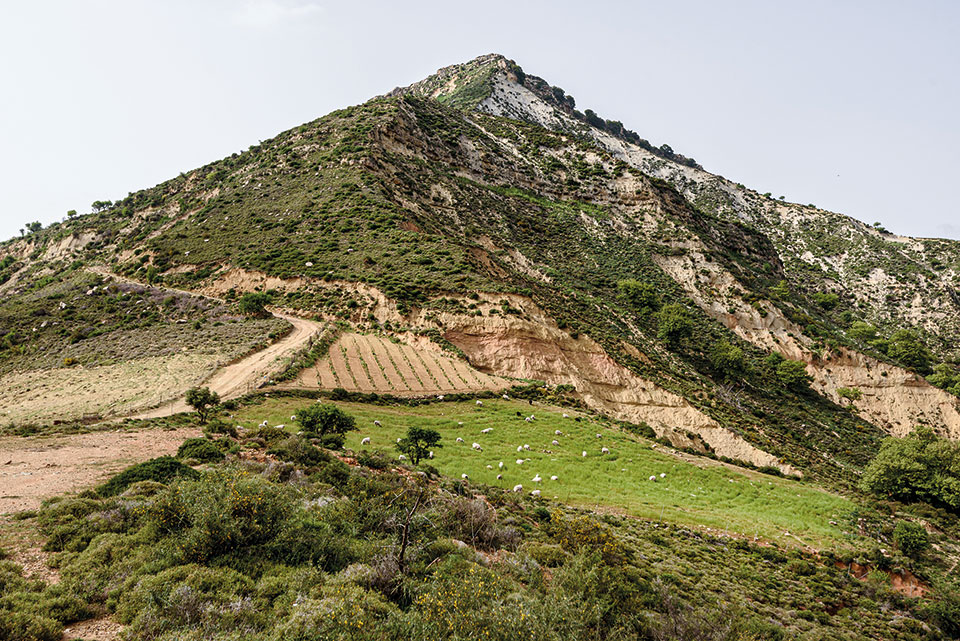 Στην Κρήτη μαθαίνουμε τι θα πει καλή ζωή-2