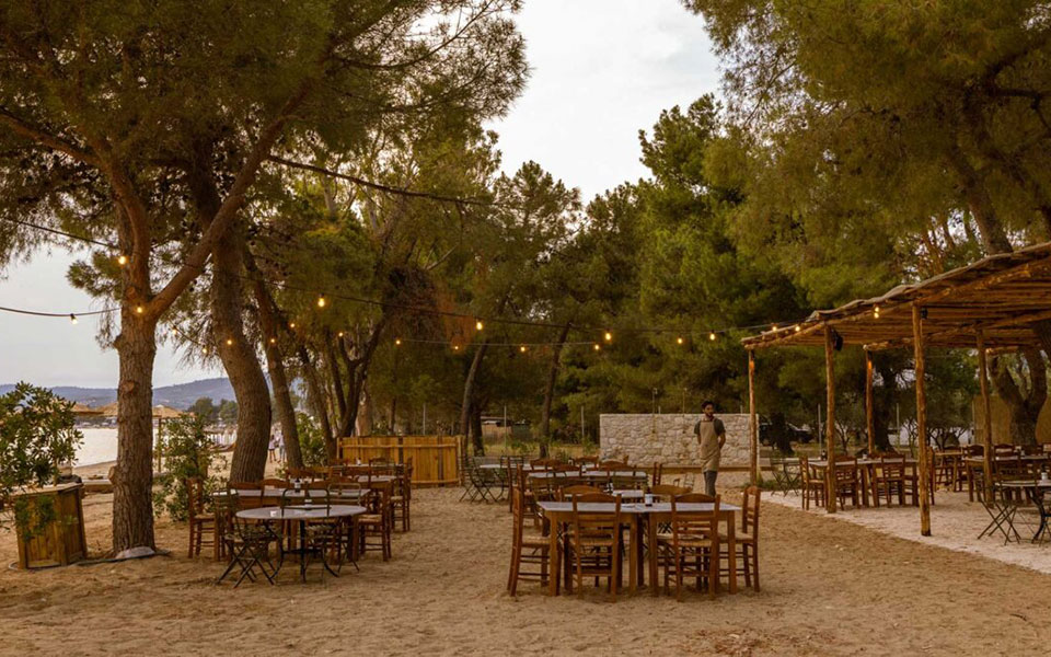 στο-ergon-beach-house-στη-χαλκιδική-τρως-με-τα-πόδια-σ-561908350