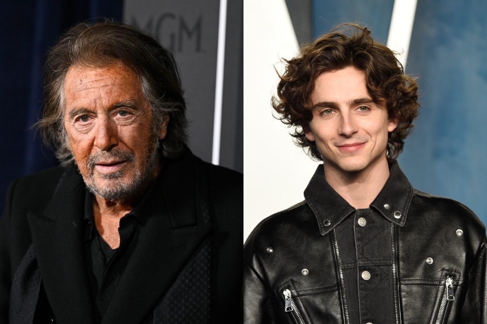 ο-αλ-πατσίνο-θέλει-ο-τιμοτέ-σαλαμέ-να-πα-561920161