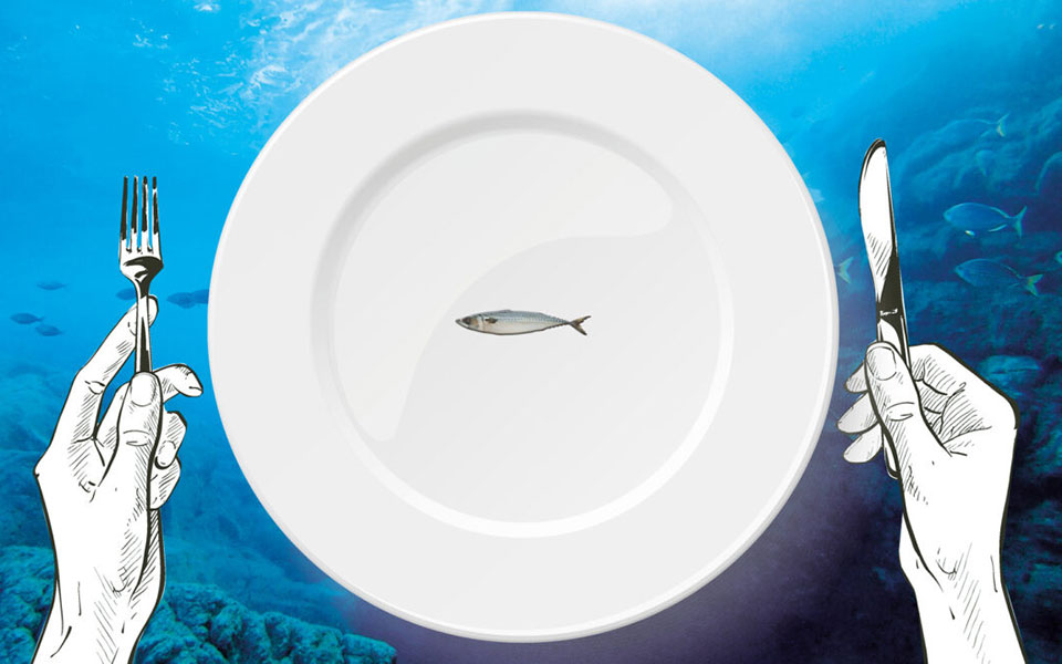 εσείς-ζητάτε-ακόμα-γόνο-στην-ταβέρνα-ν-561928669