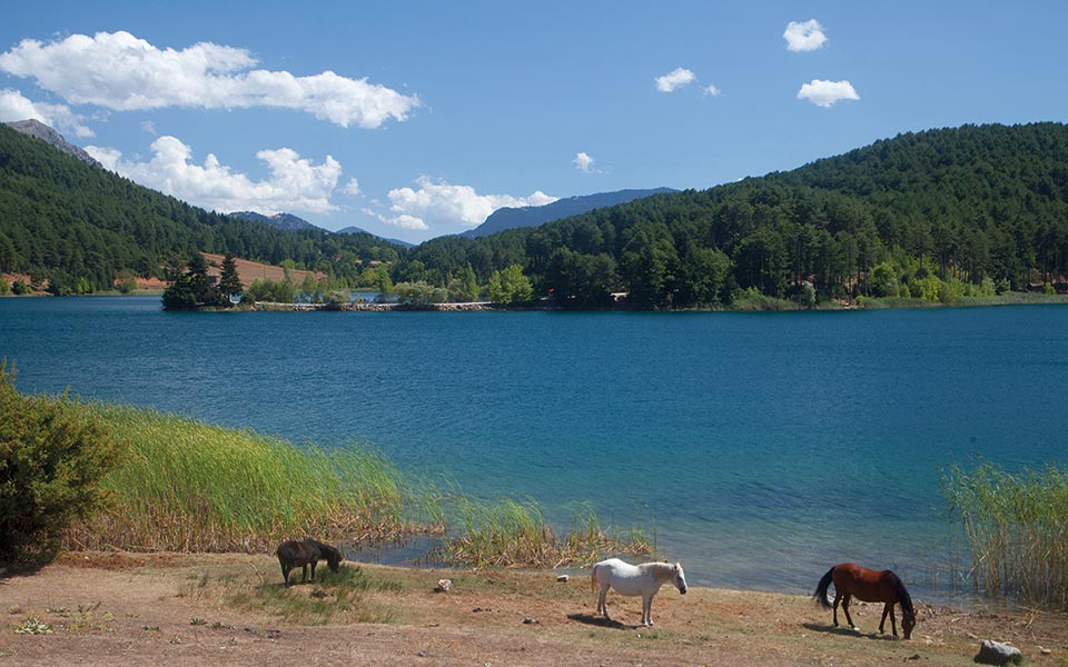 λίμνες-δόξα-και-στυμφαλία-το-καλοκαίρ-561892183