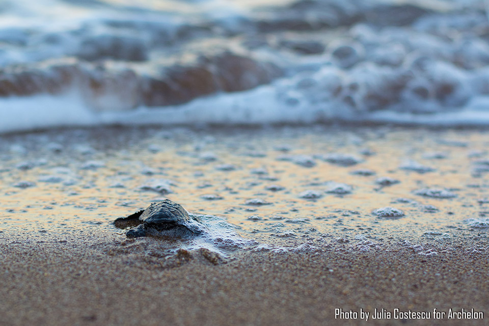 Τελικά ο εθελοτουρισμός κάνει καλό;-2