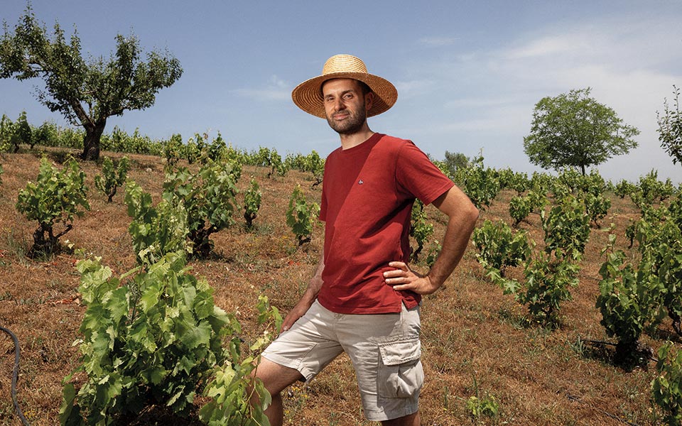 Παλιοκαλιάς: Δοκιμάζουμε πρώτοι το πιο περιζήτητο κρασί της Νάουσας-1