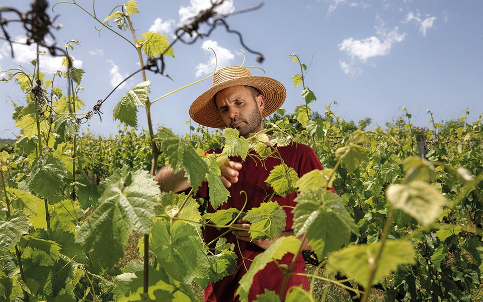 παλιοκαλιάς-δοκιμάζουμε-πρώτοι-το-πι-561898123