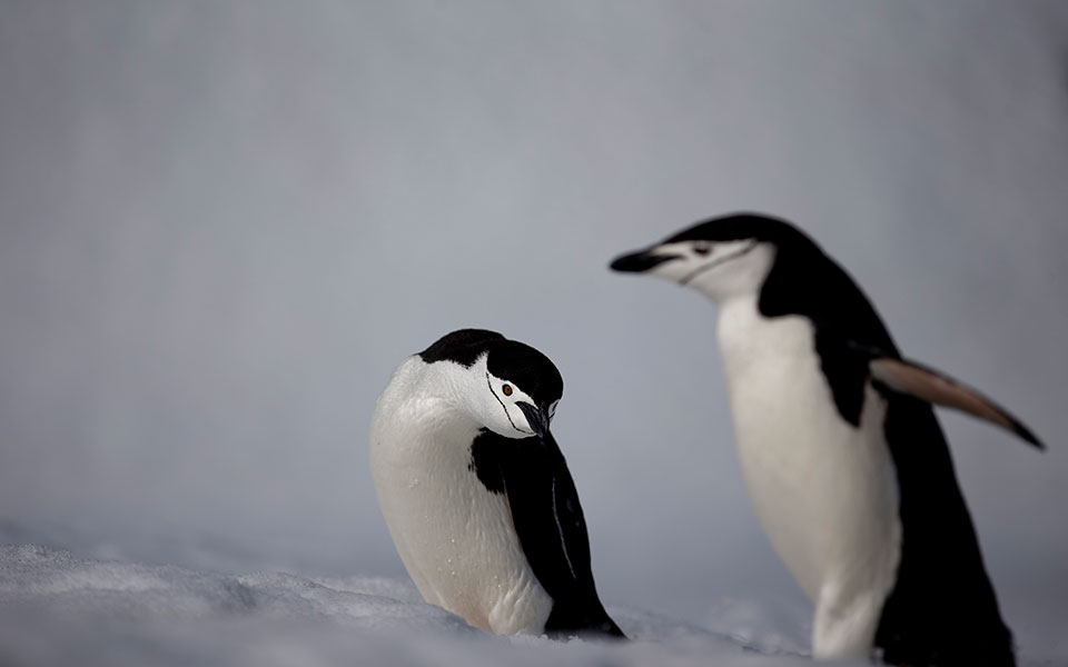 μικροπλαστικά-εντοπίστηκαν-για-πρώτ-561902905