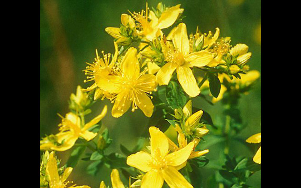 στο-κυνήγι-του-ινσταγκραμικού-σώμα-561911977