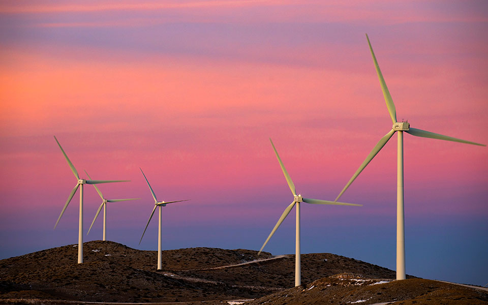 γ-περιστέρης-για-θαλάσσια-αιολικά-ακό-561925384