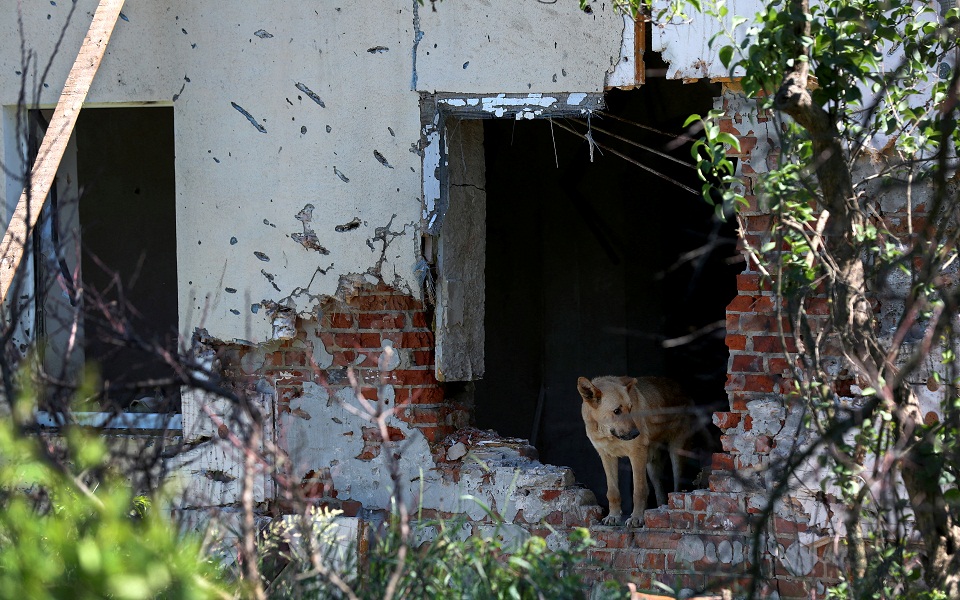 εκτός-εαυτού-ο-μεντβέντεφ-θέλουν-τον-561897991