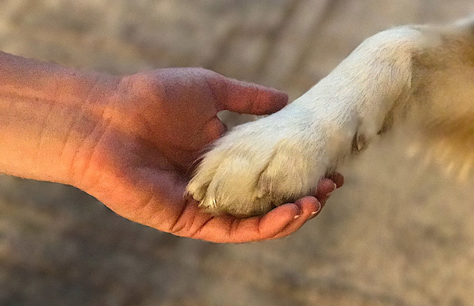 Τελικά ο εθελοτουρισμός κάνει καλό;-5