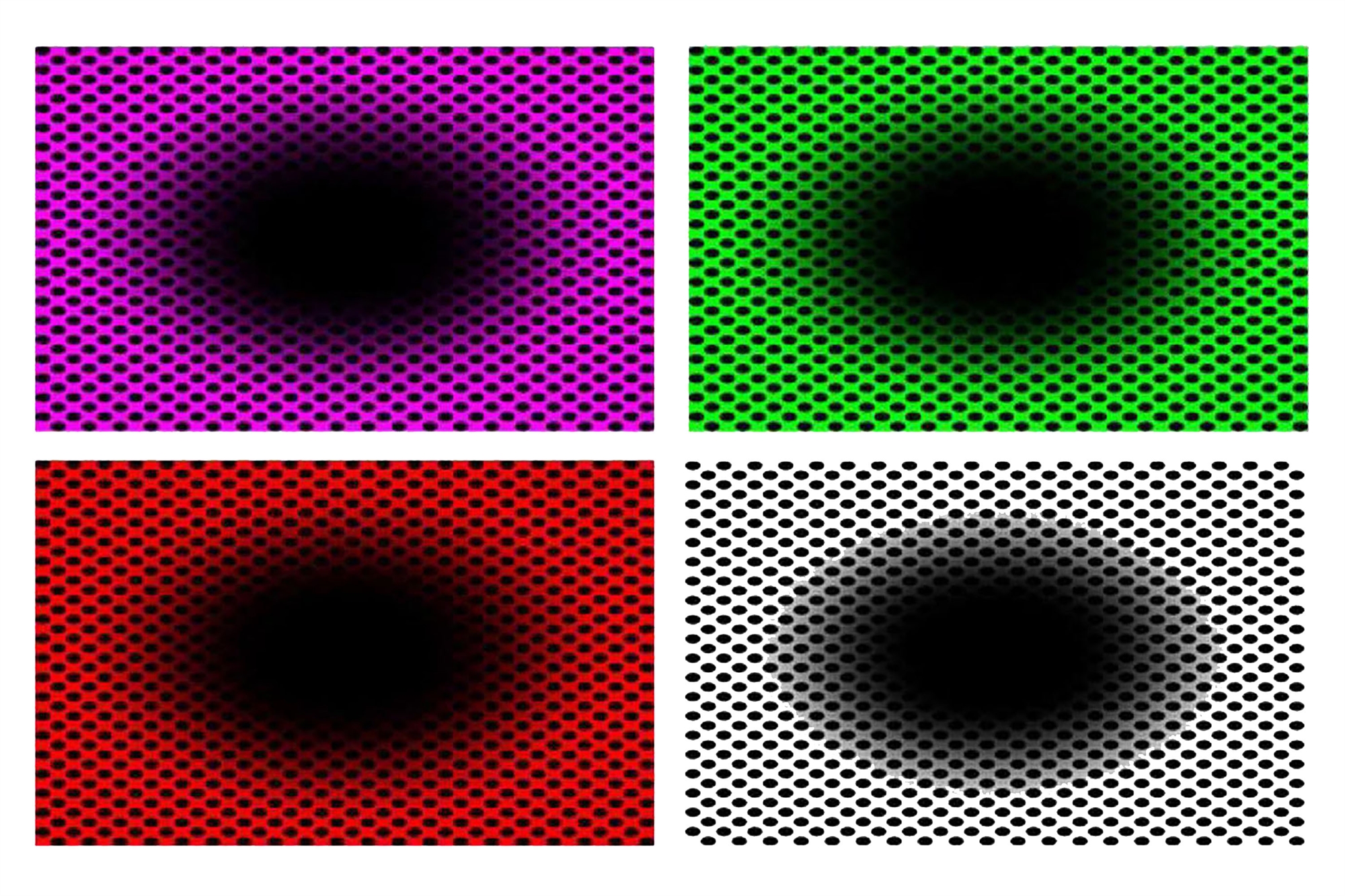 Ο εγκέφαλός μας προσπαθεί να προβλέψει το μέλλον-1