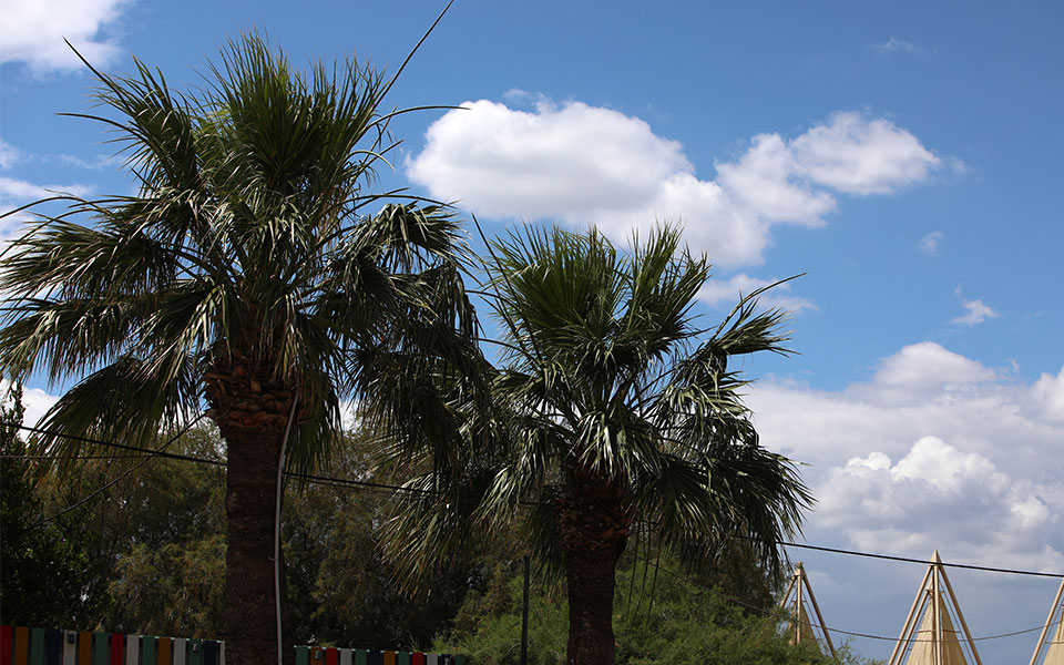γενικά-αίθριος-σήμερα-ο-καιρός-πού-θ-561913396
