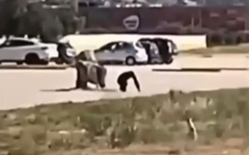 κυβερνητική-παρέμβαση-για-τη-θανάτωσ-561928720