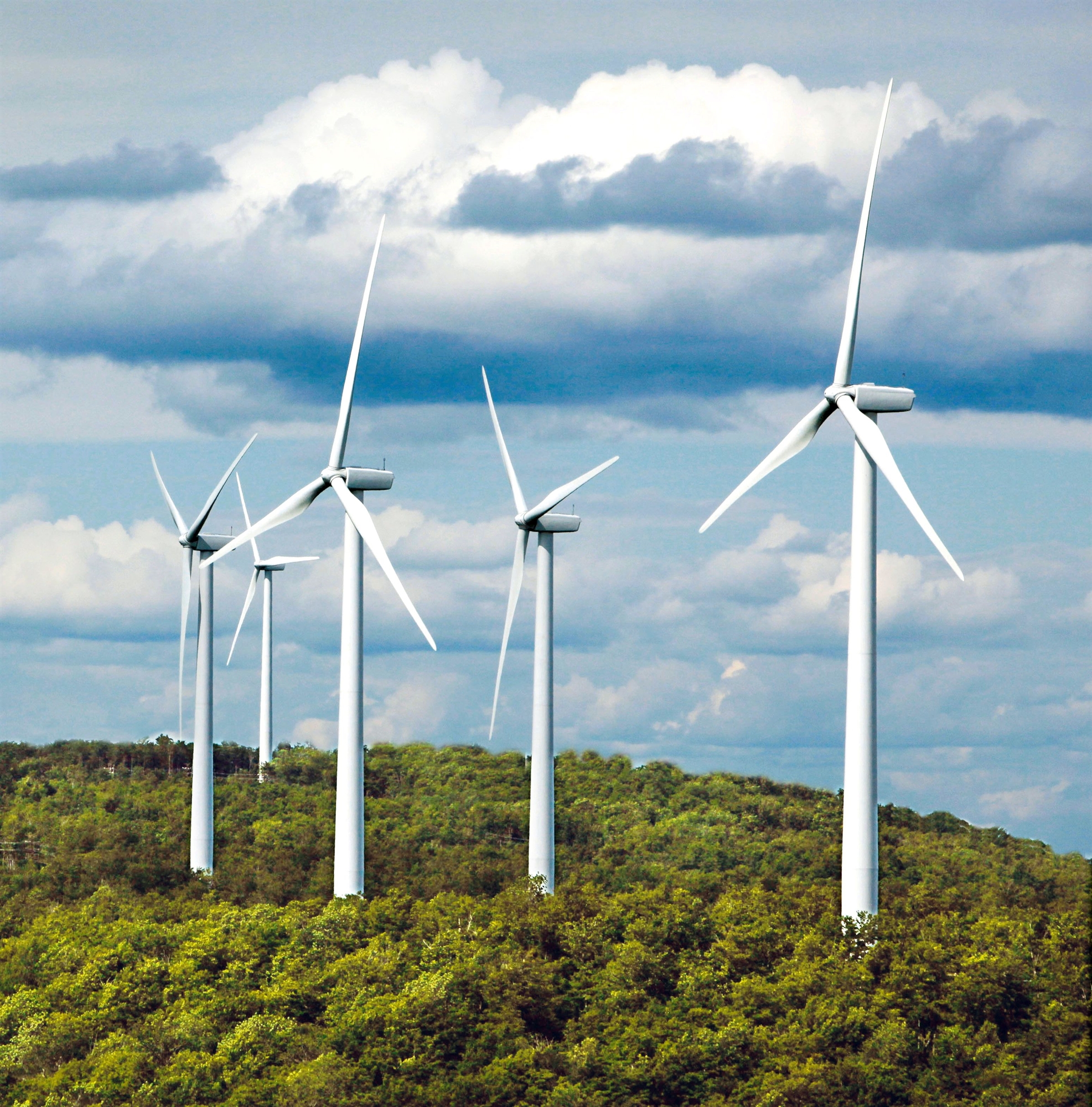 αγκάθι-για-έργα-απε-η-περιβαλλοντικ-561934060