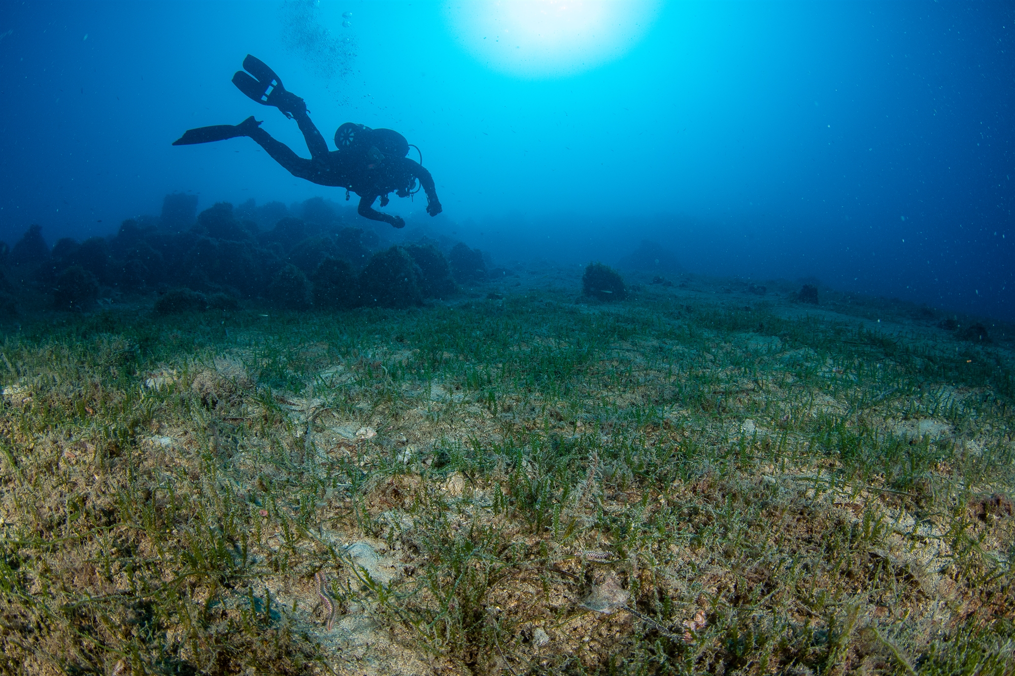 «Ασπίδα» για τα μνημεία στη φύση-3
