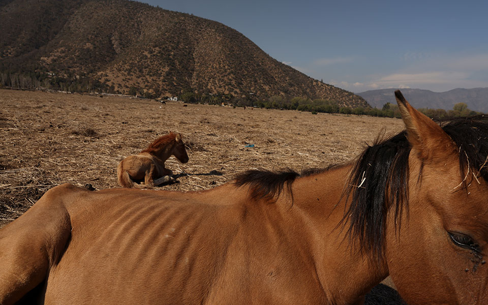 οηε-τα-τρία-τέταρτα-των-ανθρώπων-μπορε-561914281