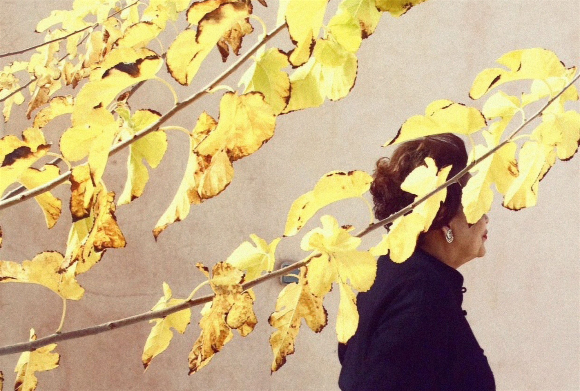 Ειρήνη και Ανδρέας Βουρλούμης: ζωγραφική και φωτογραφία συγγένεψαν-3