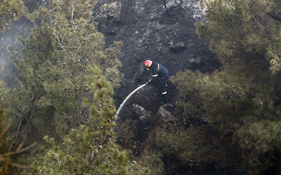 φωτιά-τώρα-στην-εύβοια-561930961