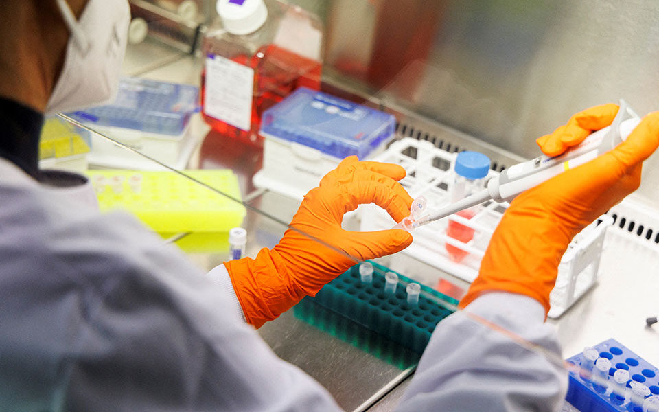 ευλογιά-των-πιθήκων-το-πρώτο-κρούσμα-σ-561901129