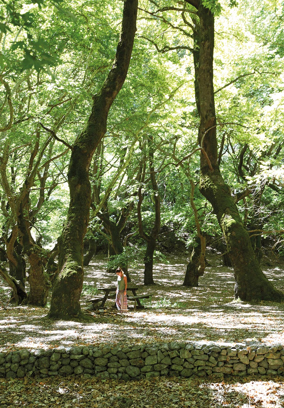 Λίμνες Δόξα και Στυμφαλία: Το καλοκαίρι δεν είναι μόνο για παραλία-5