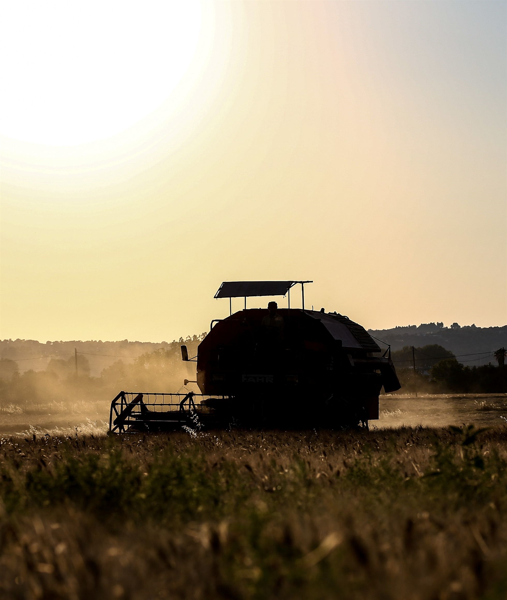 προϊόντα-επάρκεια-αλλά-και-ιδιαίτερα-561918832