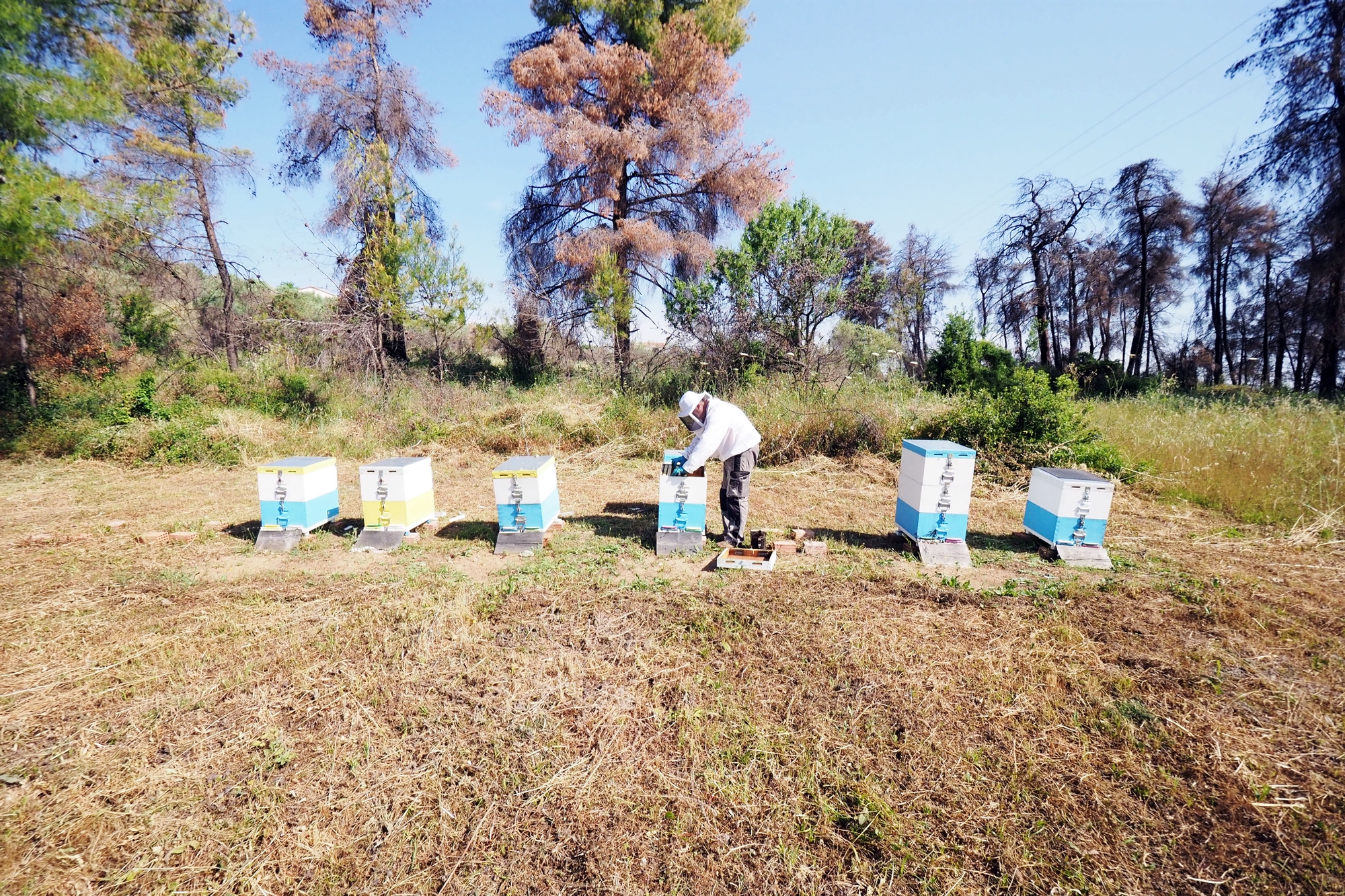 εύβοια-μείναμε-για-να-ξαναφτιάξουμε-561926038