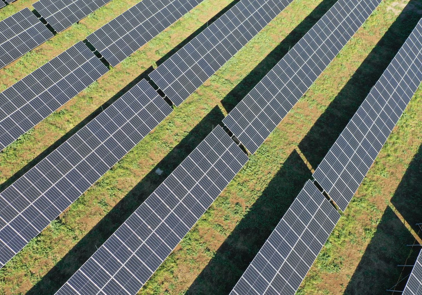 συμφωνία-δεη-volterra-στις-ανανεώσιμες-πηγ-561903724