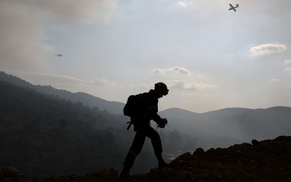 φωτιά-στη-δαδιά-στη-μάχη-για-πρώτη-φορά-561925819
