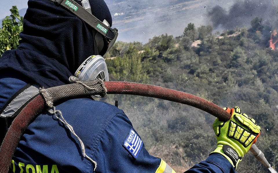 πέλλα-καλύτερη-η-εικόνα-στη-δασική-φωτ-561925132