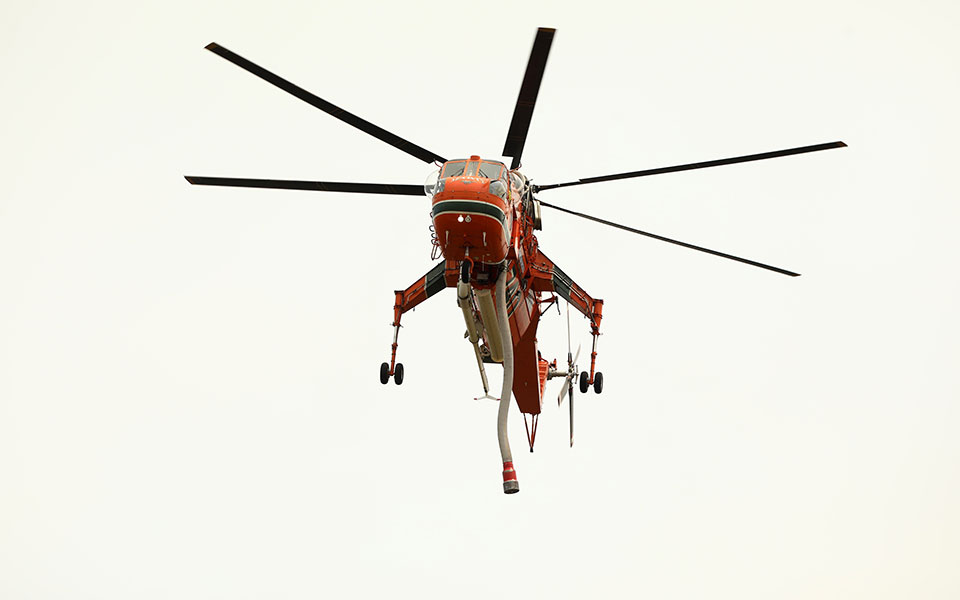 φωτιά-τώρα-στην-τανάγρα-561892723