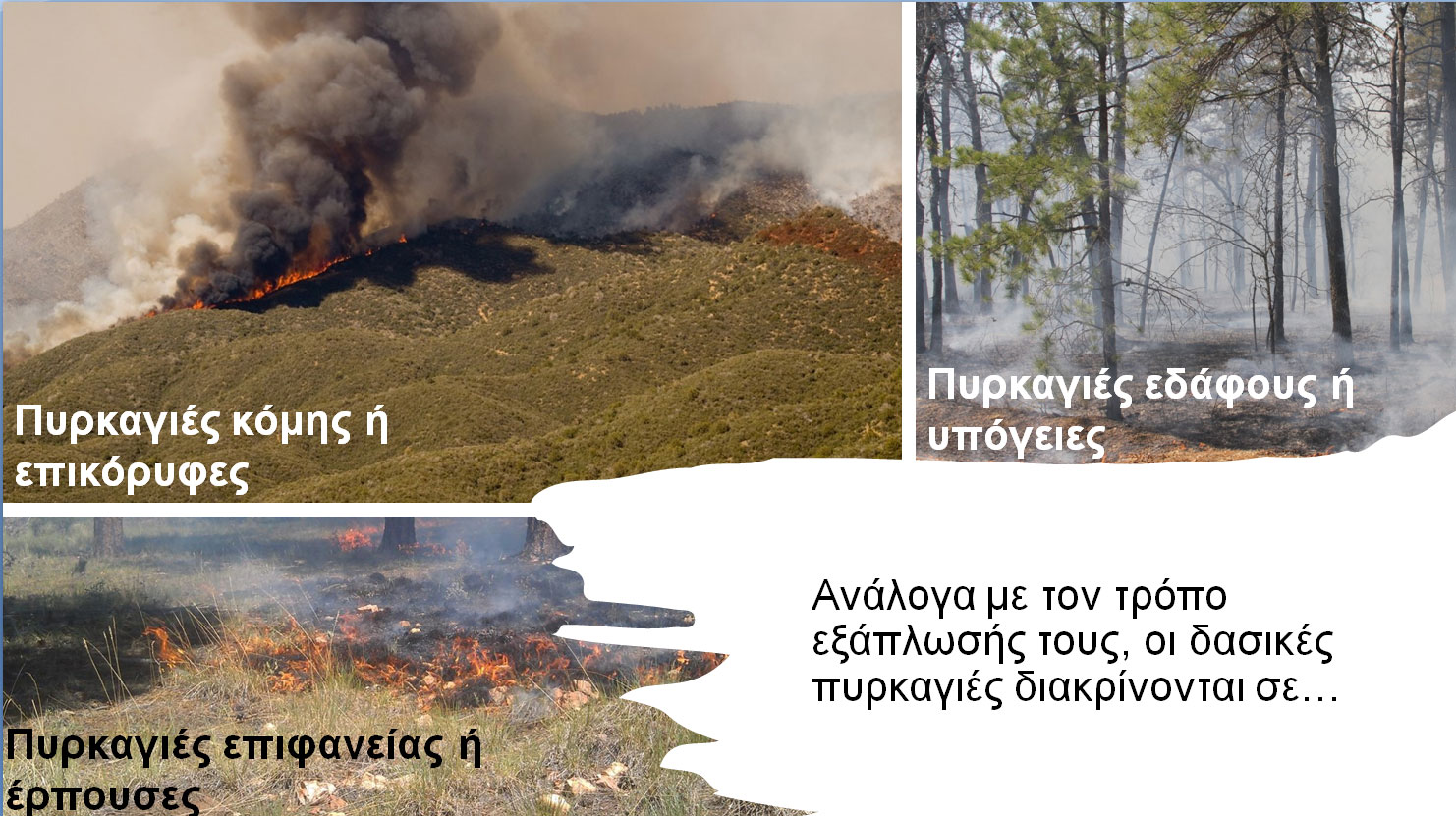 Explainer: Οι «μεγα-πυρκαγιές» στην εποχή της κλιματικής κρίσης – Τι είναι και γιατί αντιμετωπίζονται δύσκολα-4