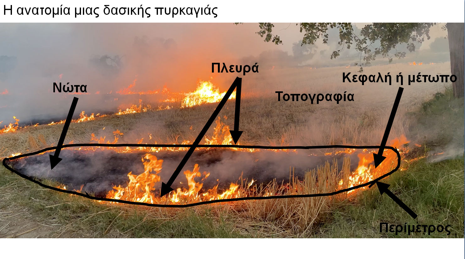 Explainer: Οι «μεγα-πυρκαγιές» στην εποχή της κλιματικής κρίσης – Τι είναι και γιατί αντιμετωπίζονται δύσκολα-3