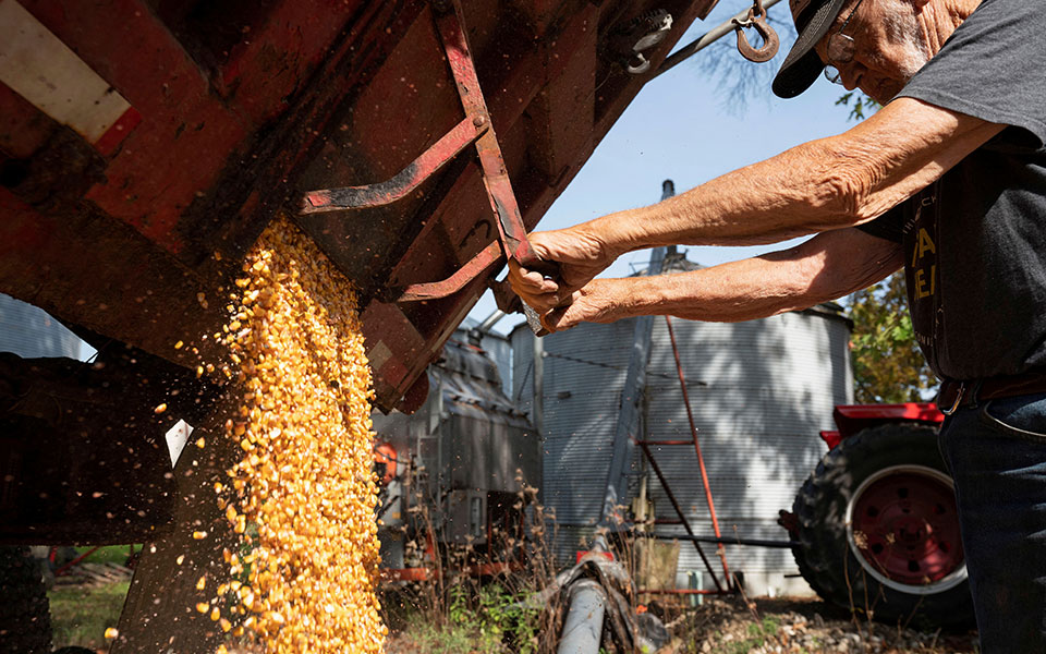 ουκρανία-οι-εξαγωγές-σιτηρών-έχουν-με-561918091