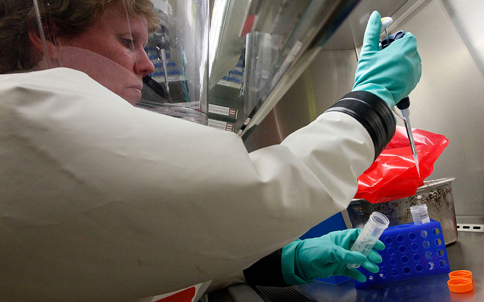 ευλογιά-των-πιθήκων-780-κρούσματα-εκτός-561895948